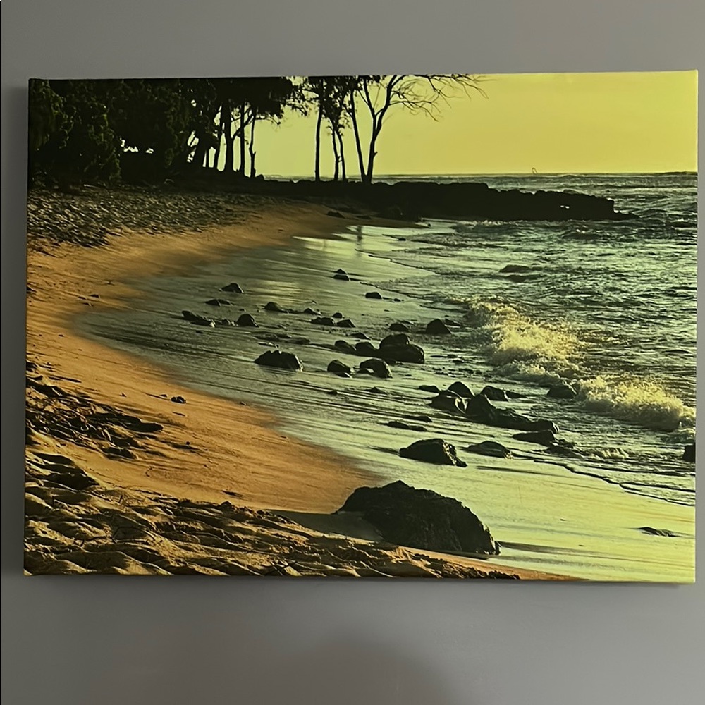 Coastal Sunset Canvas Art